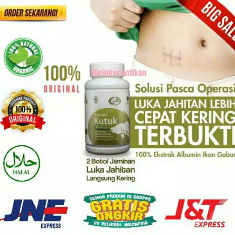 KAPSUL KUTUK  Kapsul Kutuk Premium Ekstrak Albumin Pasca Operasi 5x Original asli 100%