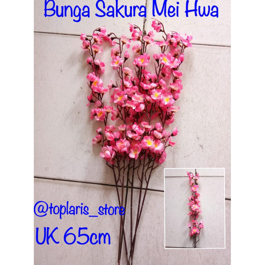

Bunga Sakura MeiHwa Imlek 01
