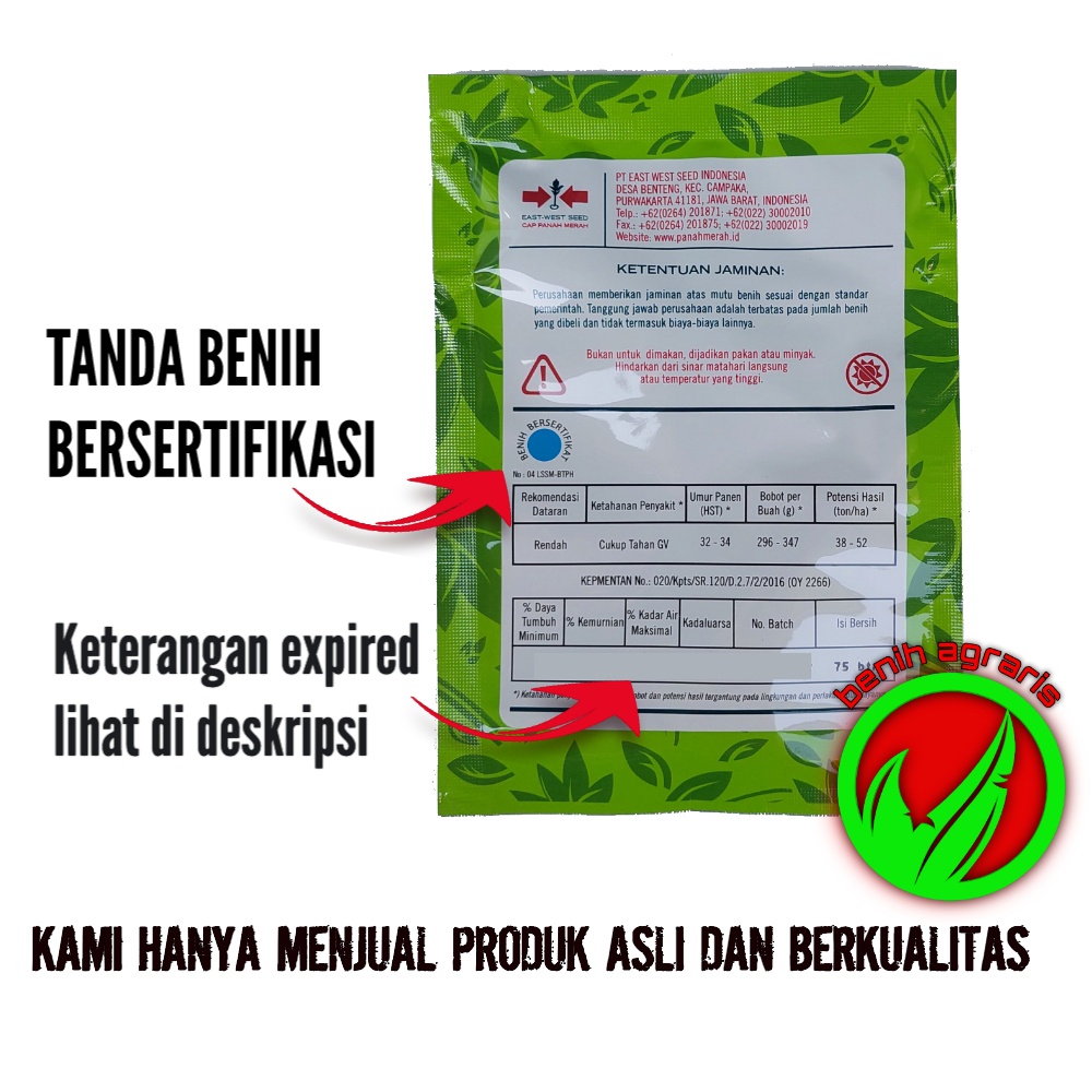 Benih Gambas Anggun Tavi F1 75 butir Cap Panah Merah-1