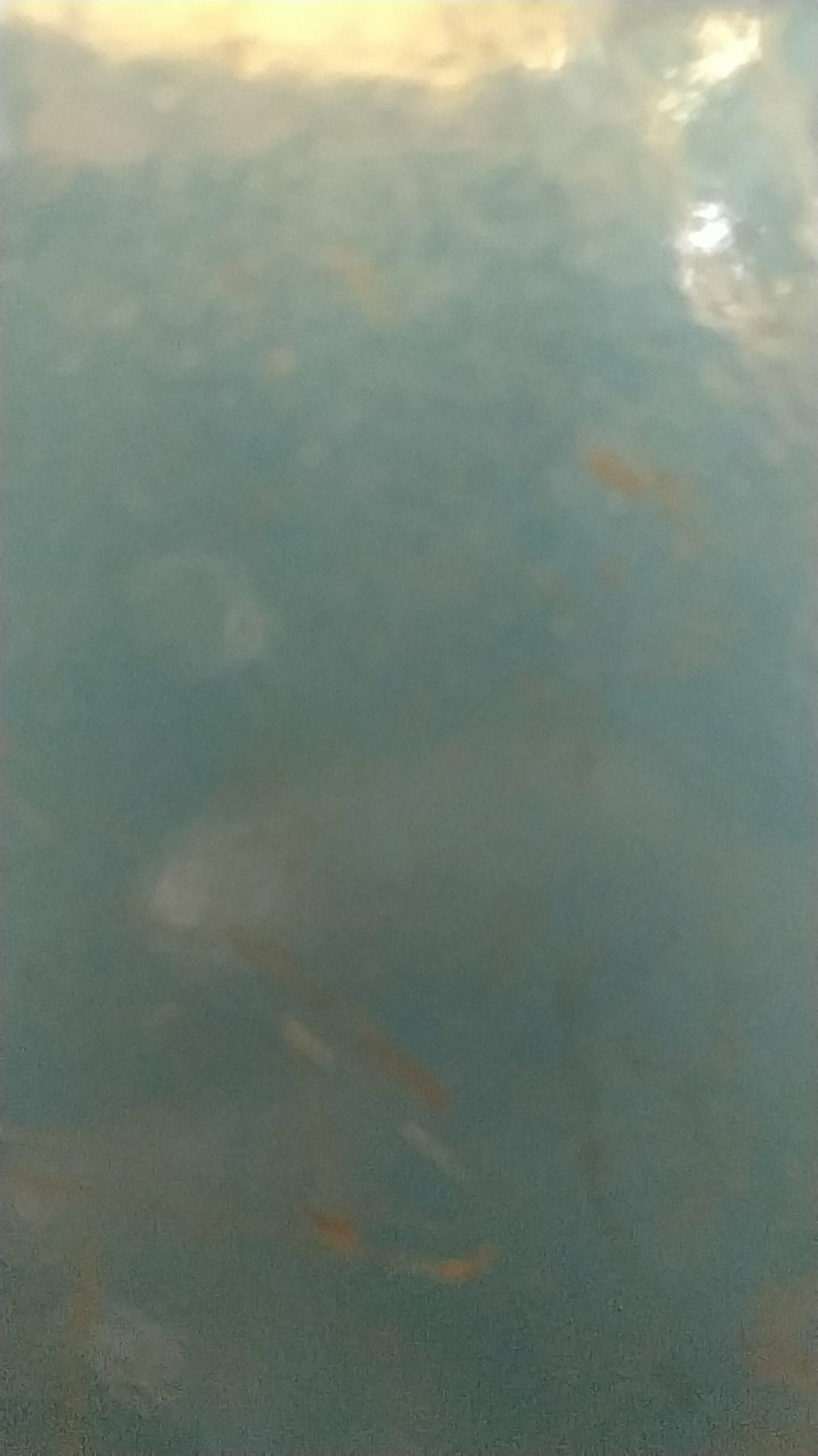 Paku Beton Warna Hitam Ukuran 20 25 30 40 50 Mm Per 10pcs