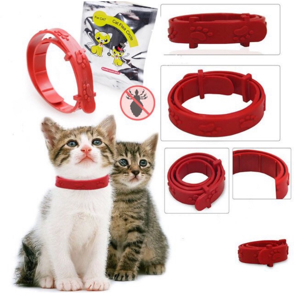 Kalung kutu kucing / kalung anti kutu kucing / aksesoris kucing / obat kutu kucing