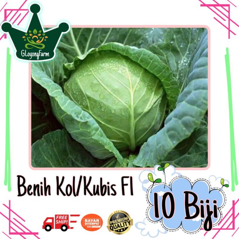 Benih Kol Kubis Hijau F1 Sehati Dataran Rendah Cap Panah Merah Bibit Tanaman Sayur kol