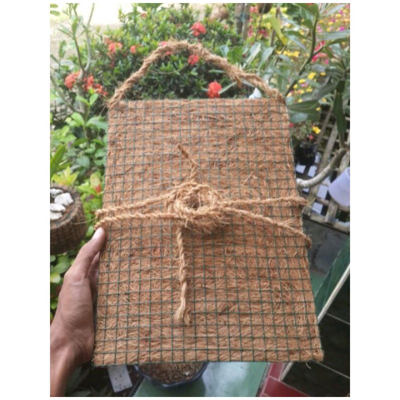 media papan tempel bunga anggrek/papan anggrek serabut kelapa