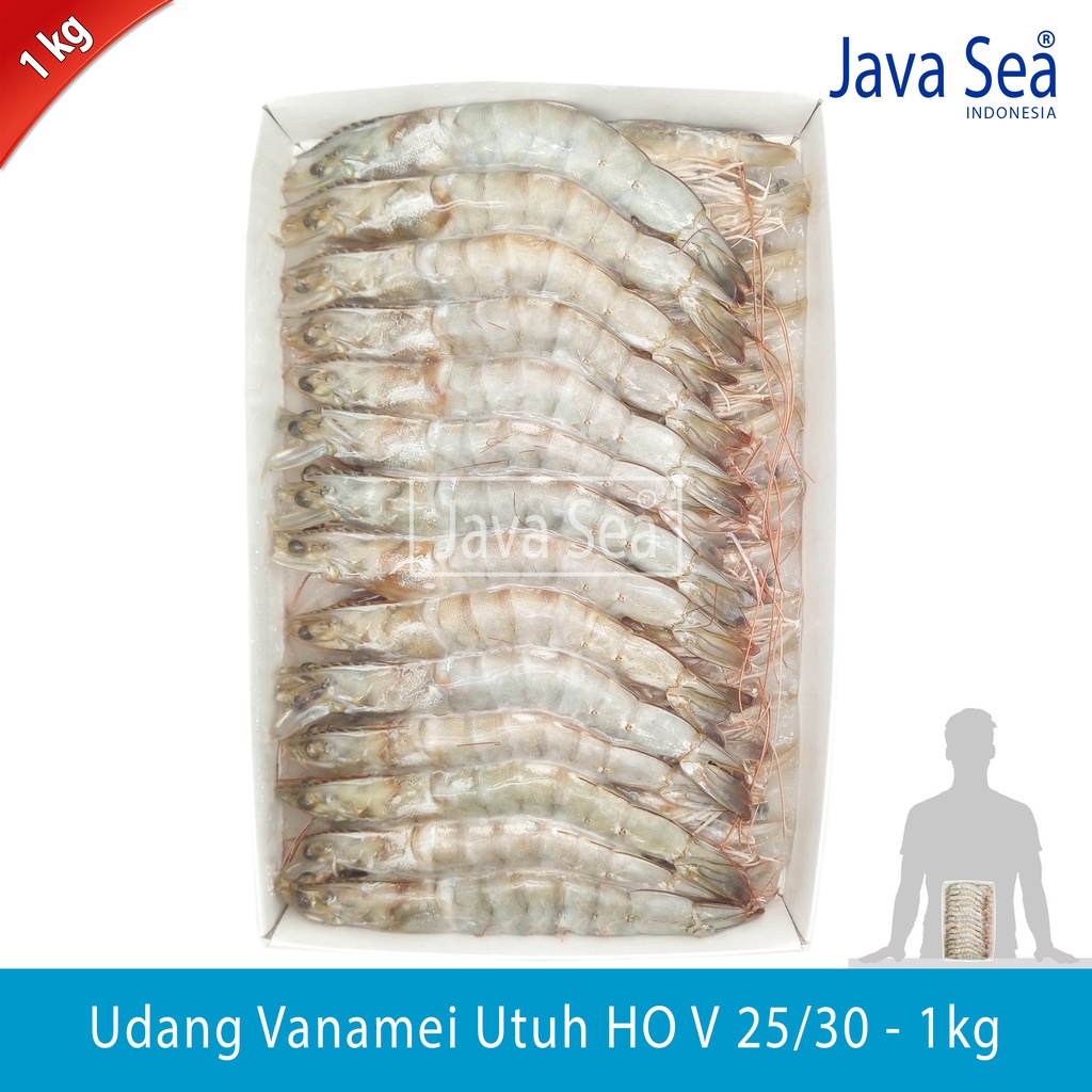 

Udang Vanamei Utuh Ada Kepala HO V 25/30 pack 1kg Java Sea