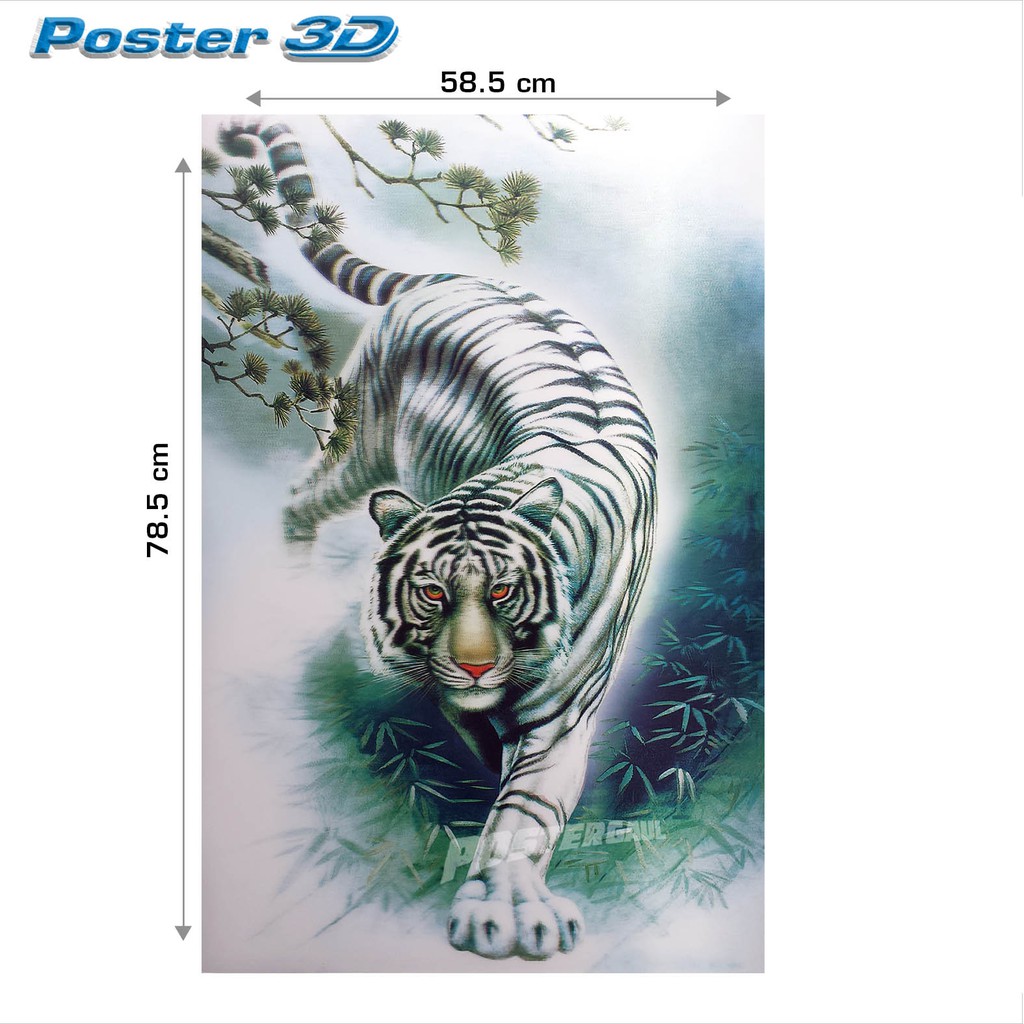 Poster 3D FAUNA HARIMAU PUTIH 3D18 38 X 58 Cm Shopee Indonesia