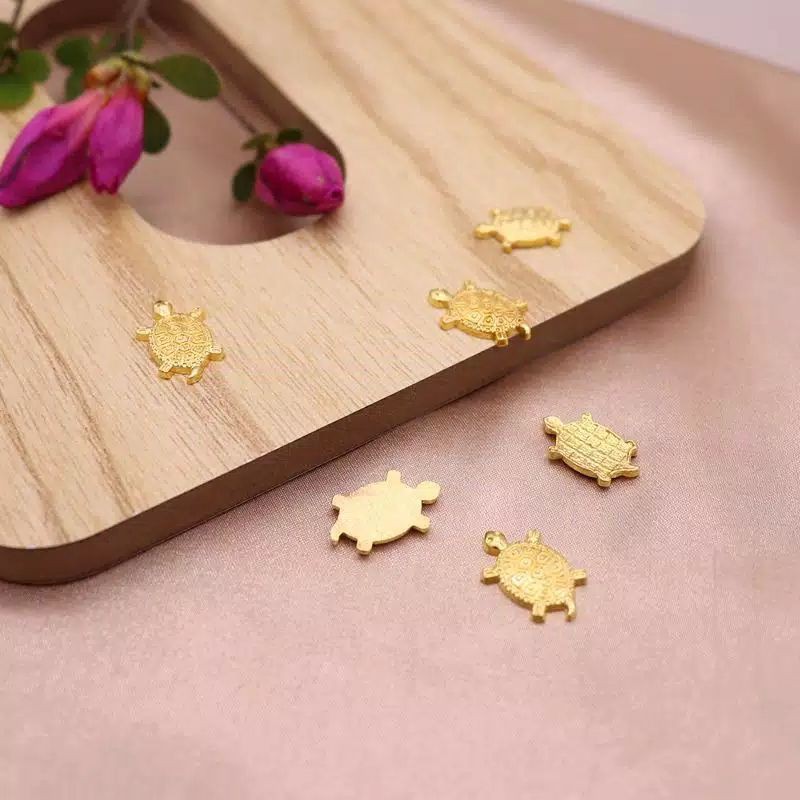 

Kura Kura Keberuntungan