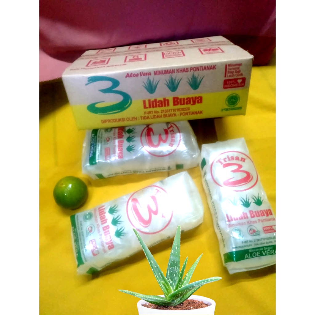 Lidah buaya murni asli dan alami minuman nutrisi manis untuk obat asam lambung dan daya tahan tubuh-1