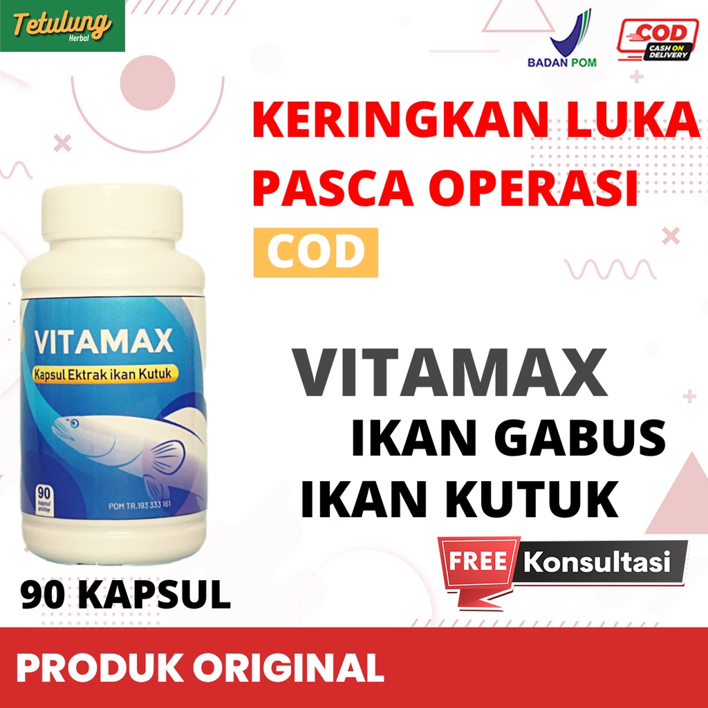 Kapsul Vitamax Ikan gabus Ikan Kutuk Albumin Alami isi 90 kapsul