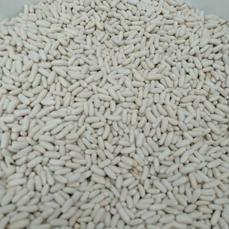 bibit buncis kenya, super mantap (100gr)