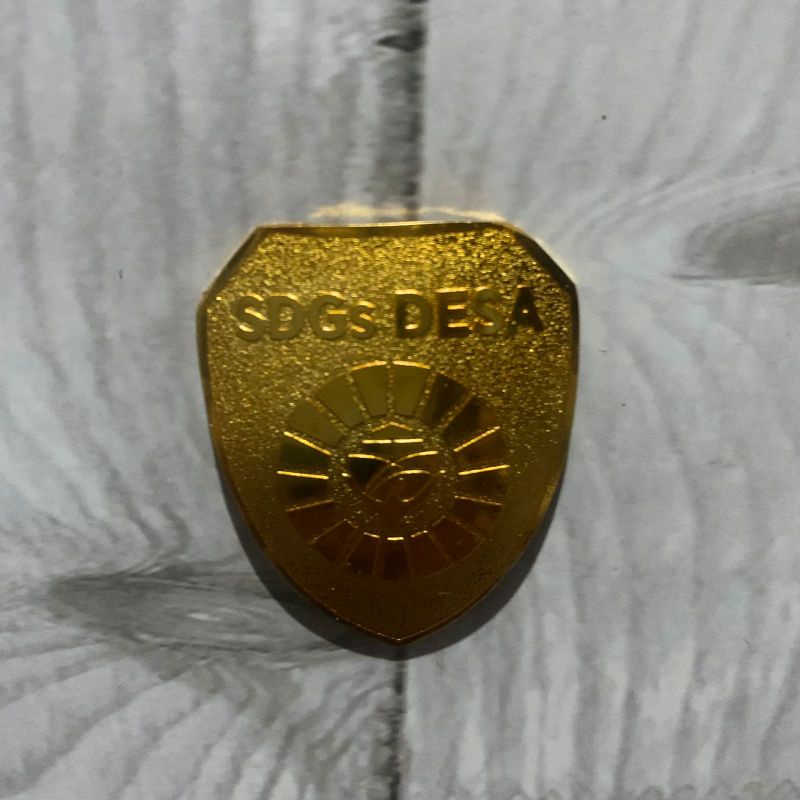 PIN SDGS MAGNET TERBARU PIN SDGS ECING