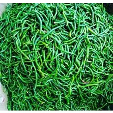 

Cabe Cabai Keriting Hijau isi 250gram