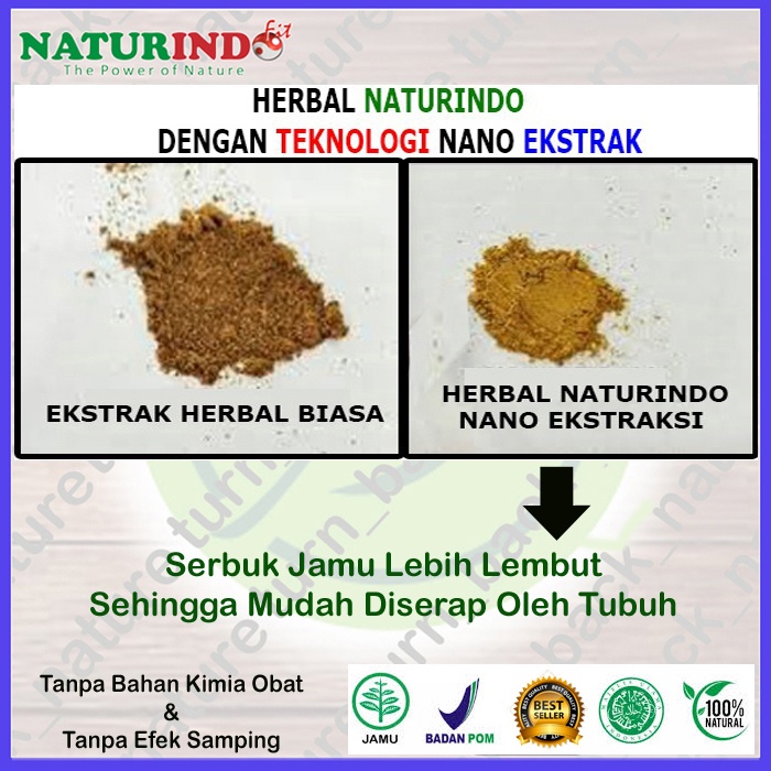Nutrisi Tulang Obat Patah Tulang Penyambung Tulang Retak Tulang Kembali Sehat & Kuat CABONE Dan JOINT NATURE Herbal Ampuh Naturindo-7