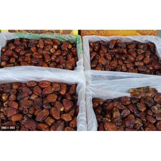 

KURMA MESIR 500GR - PROMO KURMA MESIR 500GR EDISI RAMADHAN