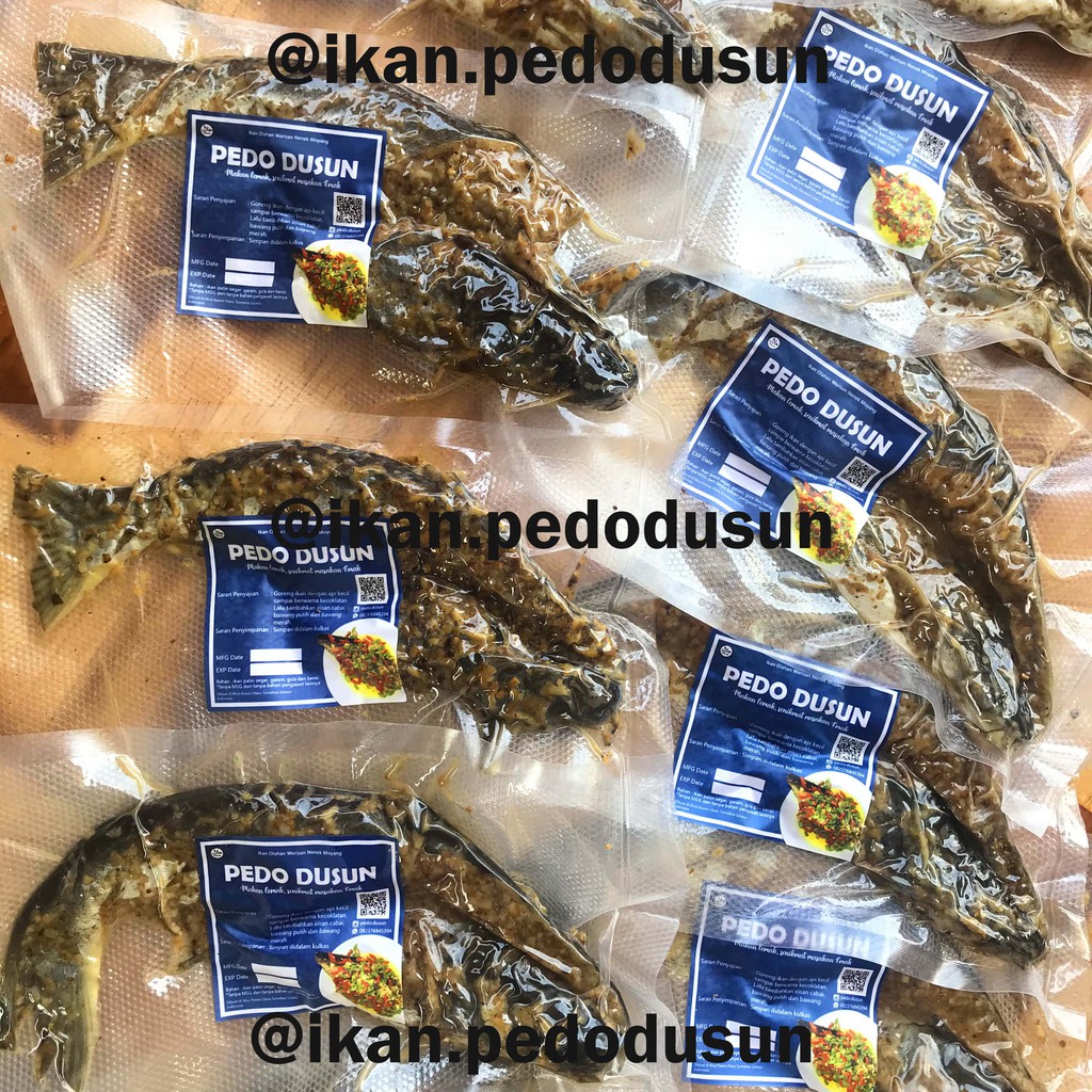 

Ikan Pedo Patin 1 pcs