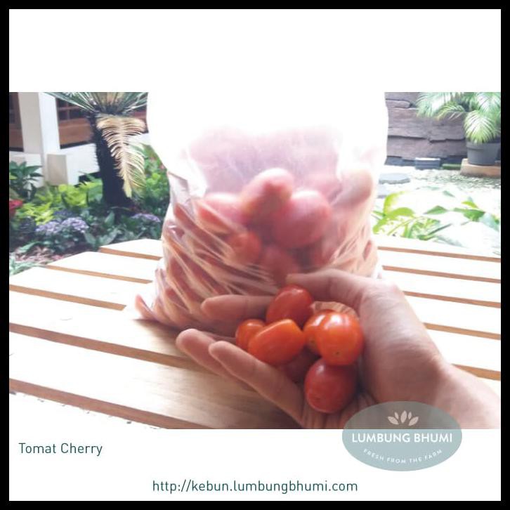 

CUCI GUDANG Tomat Cherry Curah ( Sayur - Sayuran Curah )
