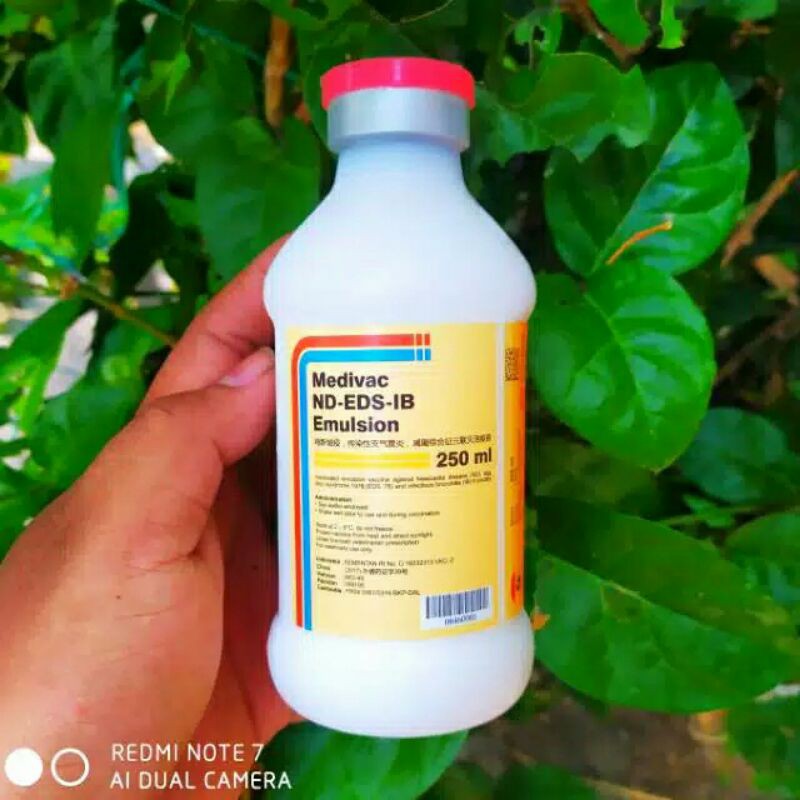 ND EDS IB EMULSION 250ml