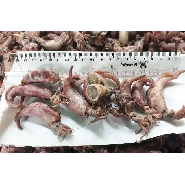 Cumi Asin / Sotong Asin 250 Gr