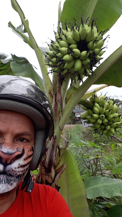 Mata Bor Serba Guna 8 Mm Untuk Besi Kayu Beton Keramik Kaca Pvc