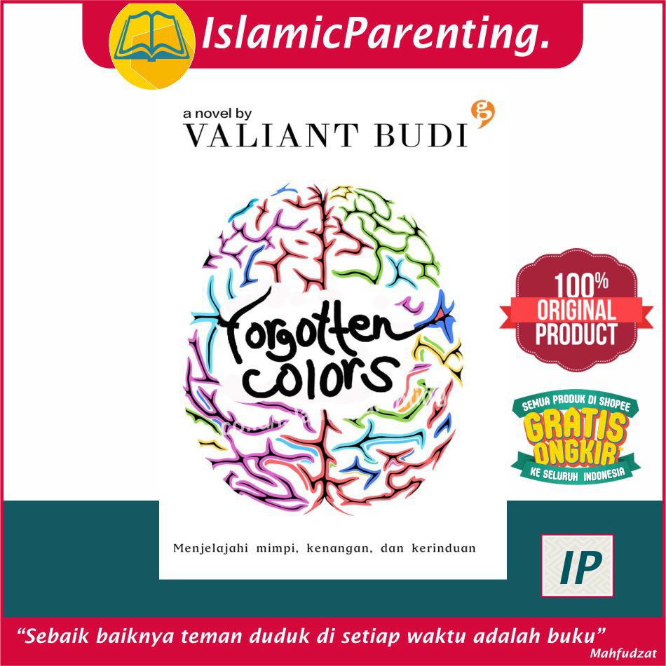 NOVEL FORGOTTEN COLORS VALIANT BUDI
