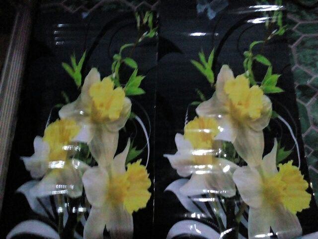 Stiker Variasi Kulkas 2 Pintu