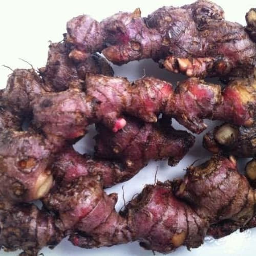 

New Bahan Rempah-Rempah Herbal Jahe Merah Basah 1kg