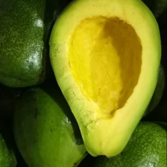 

Alpukat mentega ASLI jawa timur..! (Lembut tanpa serat) Jual Eceran / Grosir .