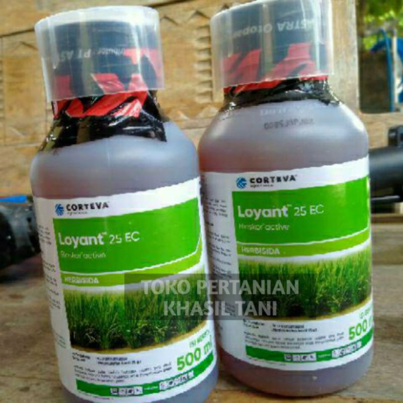 Herbisida LOYANT 25 EC Isi Bersih 500 ml - Corteva