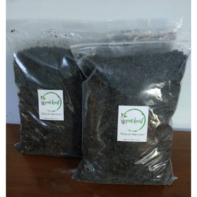 Media tanam Aglonema / Media tanam siap pakai praktis