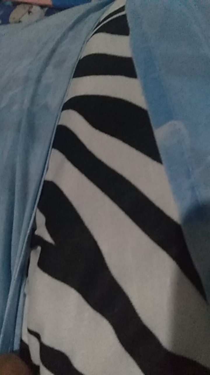 Zebra - Bantal Tidur Dan Guling Motif Zebra Standar Hotel Friamart