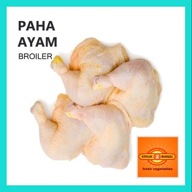 

Paha ayam