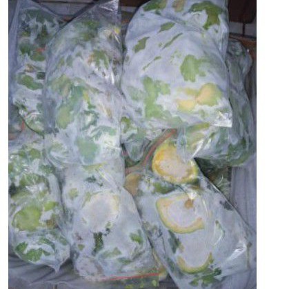 

Alpukat Frozen Legit, sehat dan bergizi per 1 kg