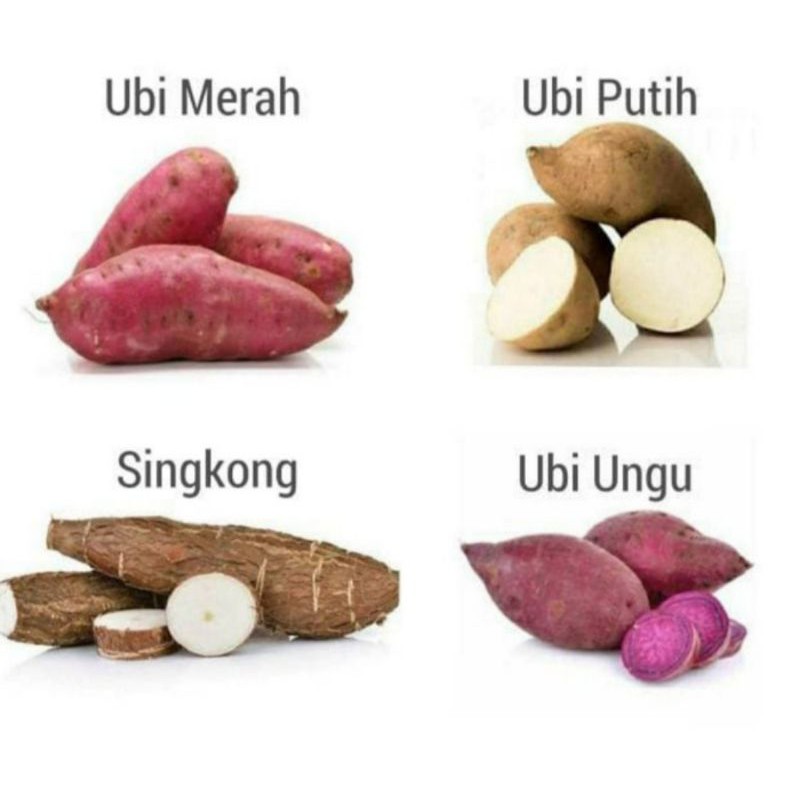 

Ubi Merah,Ubi Putih,Ubi Ungu Dan Singkong 1 Kg Fresh