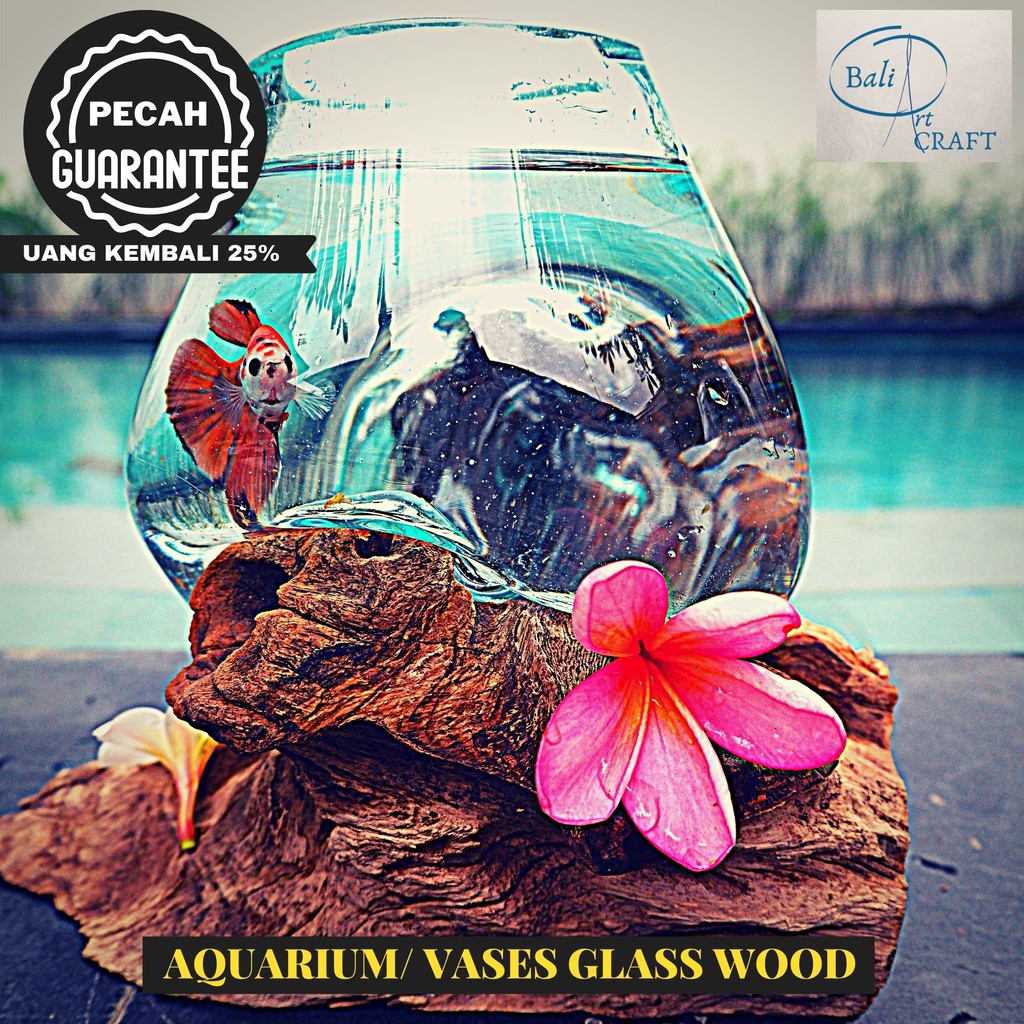 AKUARIUM IKAN CUPANG/ KACA TIUP DAN AKAR BALI / AQUASCAPE / AQUARIUM UNIK GLASSWOOD / POT /UKURAN L