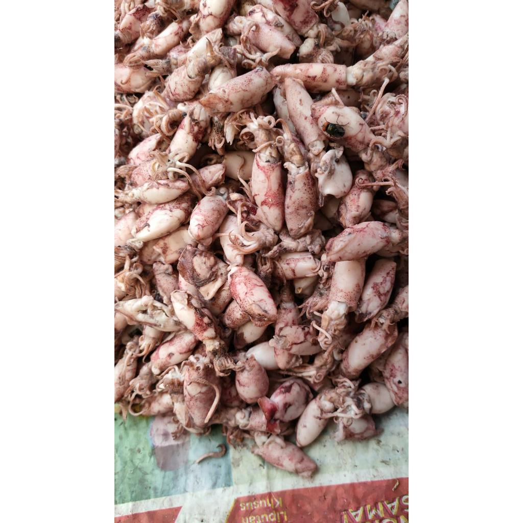 

Baby Cumi Asin 250g