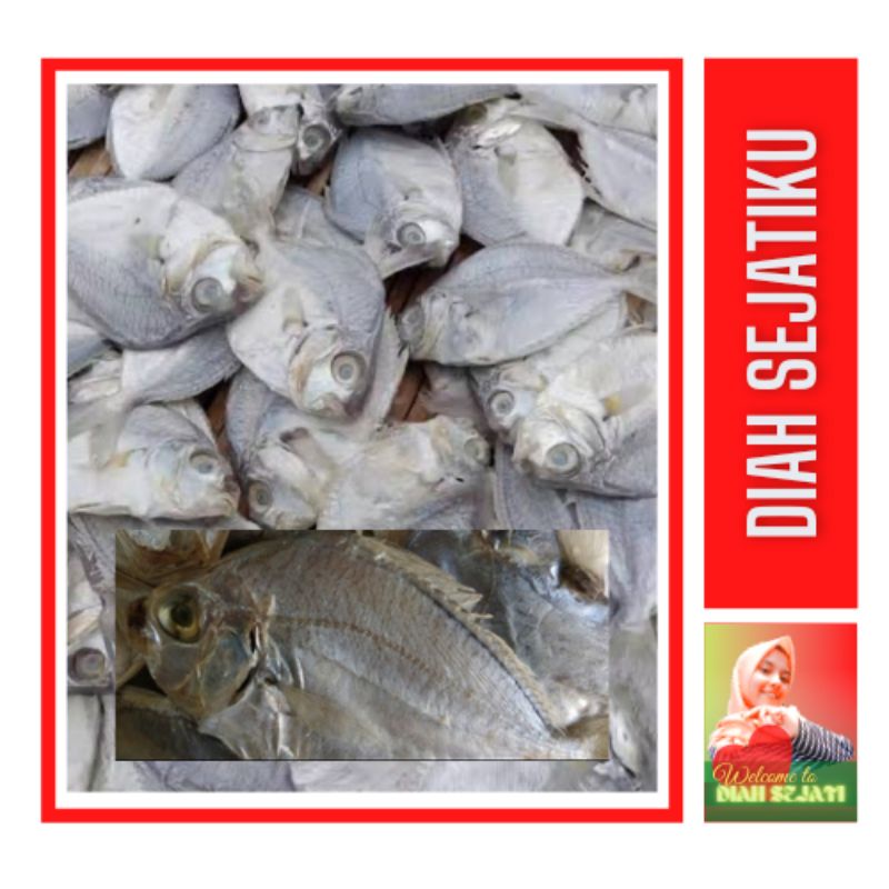 

Ikan Asin Petak Sedang 250gram