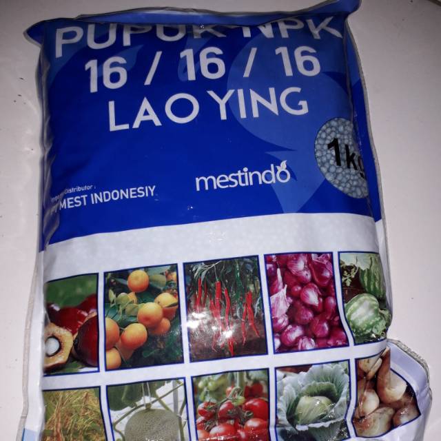 Pupuk npk buah dan tanaman LAOYING 16 16 16 laoying