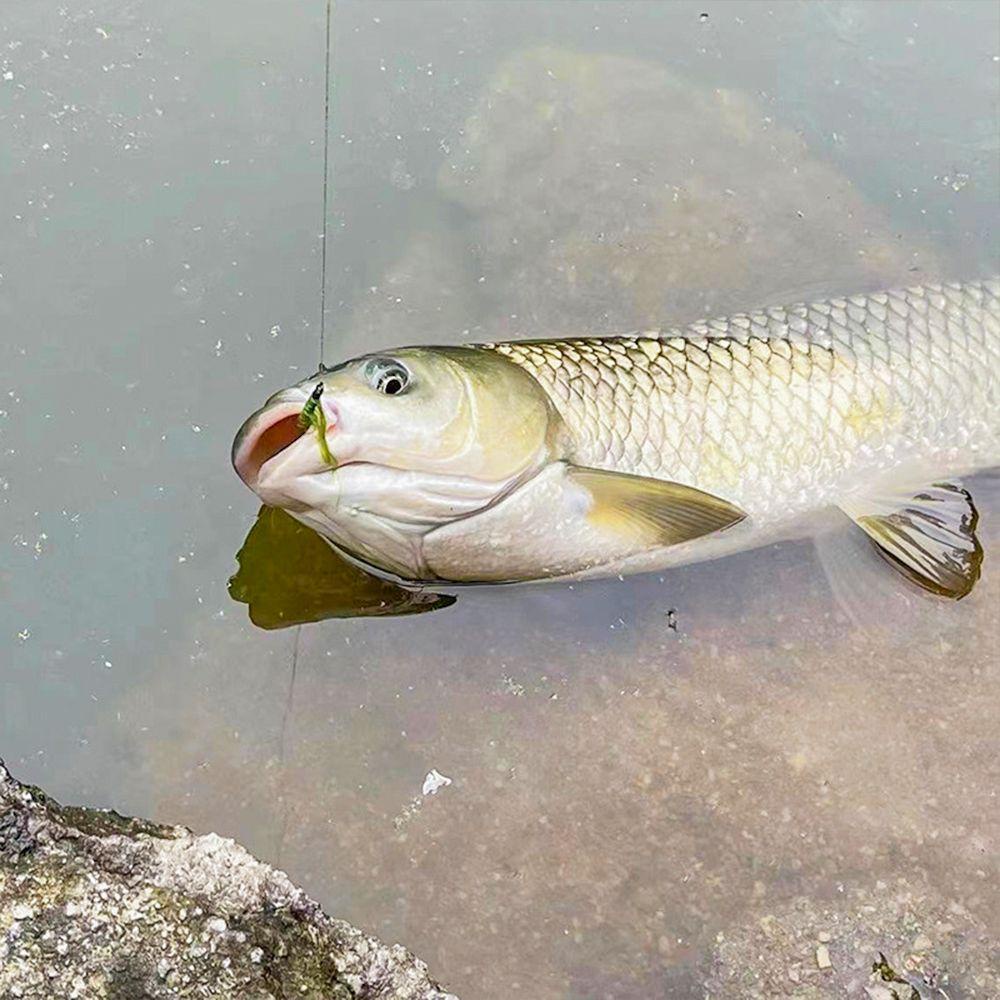 Preva Kail Pancing Kamuflase Buatan Penyiangan Ikan Gurame Lalat Pemancingan Umpan Sempurna