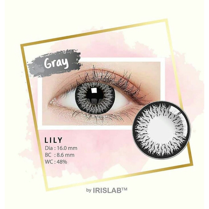 SOFTLENS LILY GREY (-0.50 S/D -6.00)