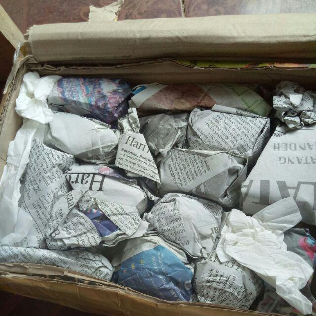 Kaktus Dan Sekulen ( Minimal 30 Packs )