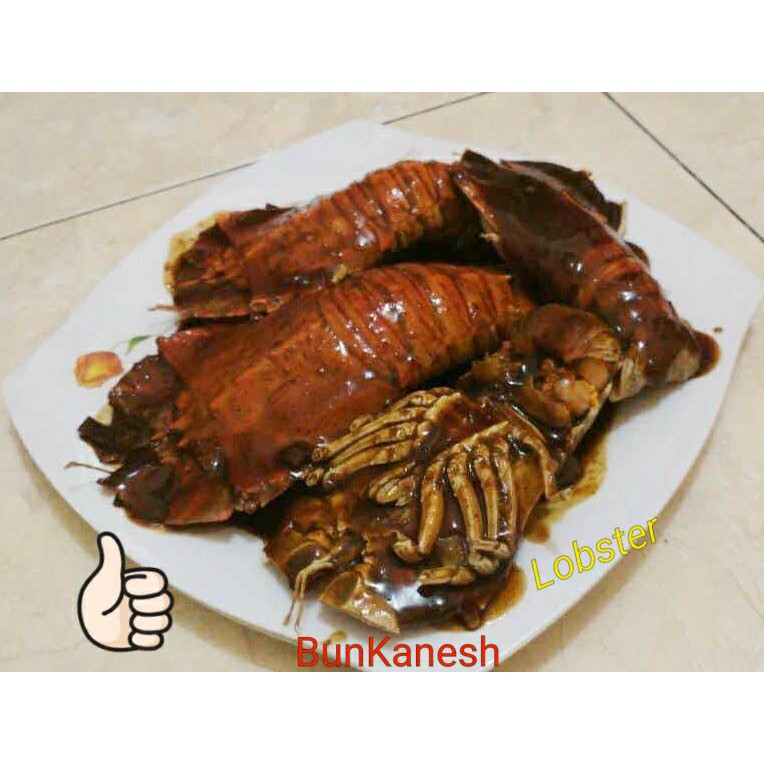 

OPEN PREORDER Lobster Kalimantan