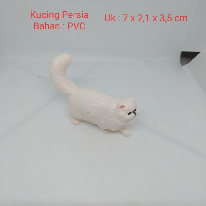 kucing persia medium putih