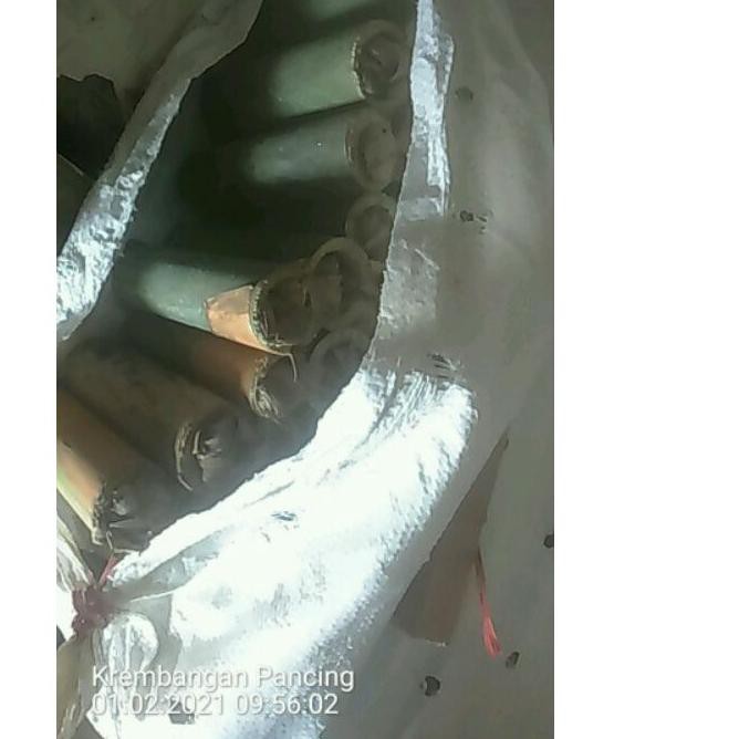 

Best Seller!! KODE-655 ulat bumbung