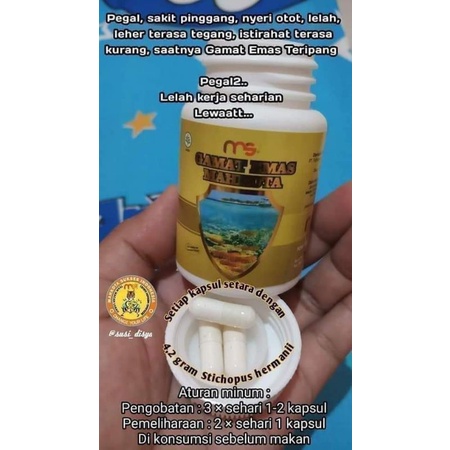 MSI Gamat 1 botol 50 kapsul