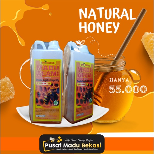

Jual Madu Hutan Alami Kalimantan