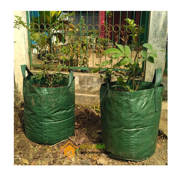 Planter Bag 50 Liter Hijau Pot Tanaman