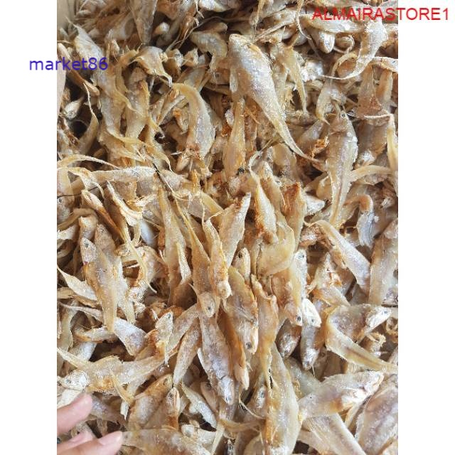 

Grosir Ikan Asin Bulu Ayam Segar 100 gram Berkualitas murah - Market86