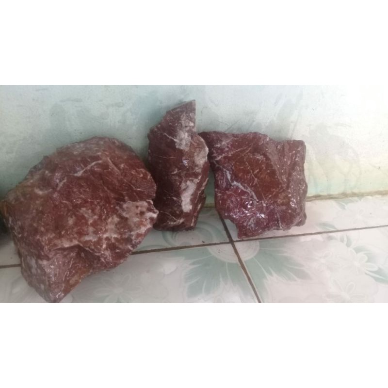 batu kreket merah aquascape putih aquarium