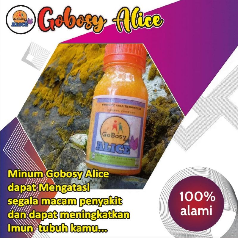 Obat Diabetes - Herbal GoBosy Alice
