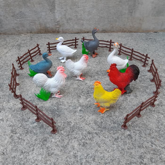 6400 Gambar Hewan Ternak Unggas Terbaru