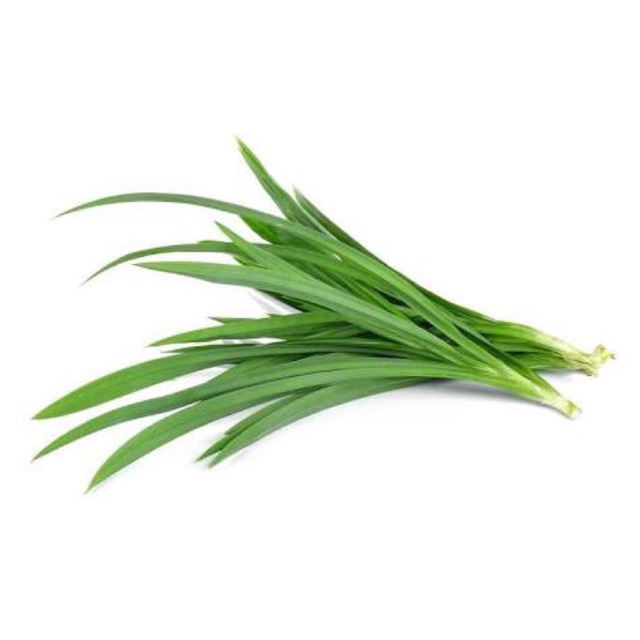 

Daun Pandan / ikat